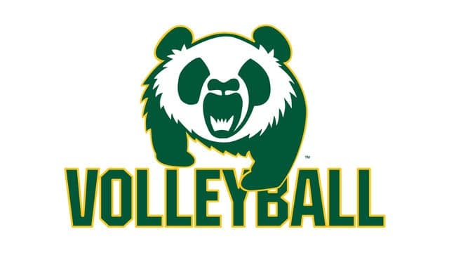 University of Alberta Pandas Volleyball