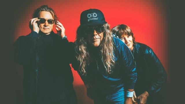 Spiderbait