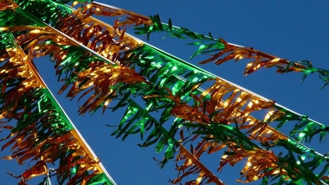 Rio Carnaval